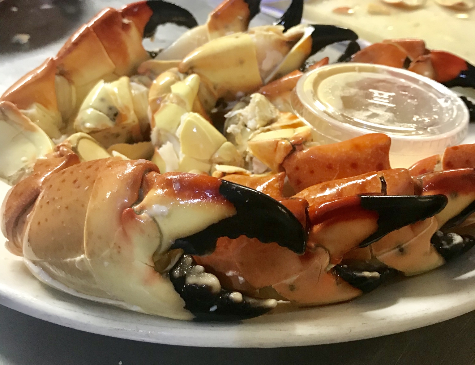 Stone Crab Menu Catfish Deweys South Florida seafood since 1984